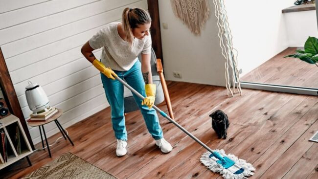 End Of Tenancy Cleaning In West Kensington